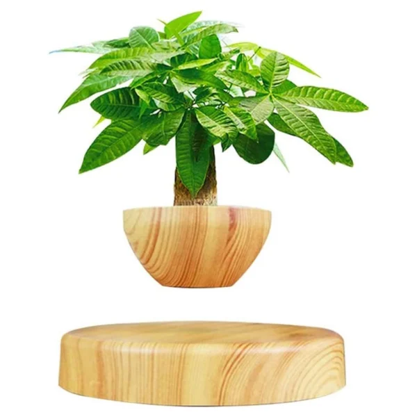 HCNT Magnetic Levitating Floating Plant Pot-14