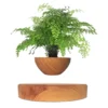 Levitating Floating Plant Pot