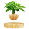 Levitating Floating Plant Pot - Image 14